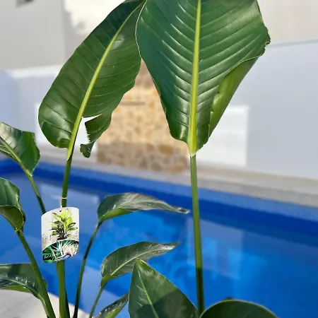 Villa Higuericas: Family Retreat With Private Pool Torre de la Horadada