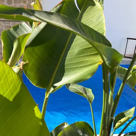 Villa Higuericas: Family Retreat With Private Pool *